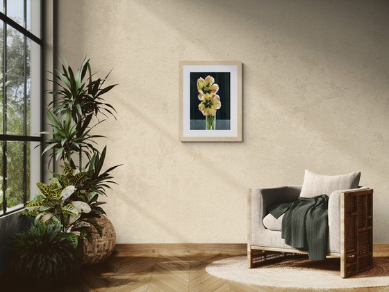 Tulips still life