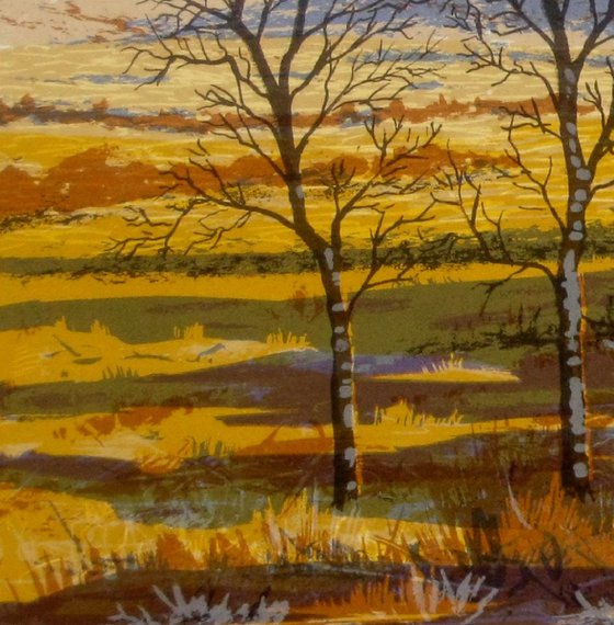 Winter Sunlight, Glen of Imaal