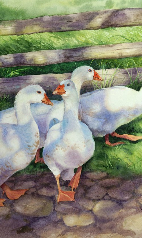 Hot Afternoon Countryside by Olga Beliaeva Watercolour