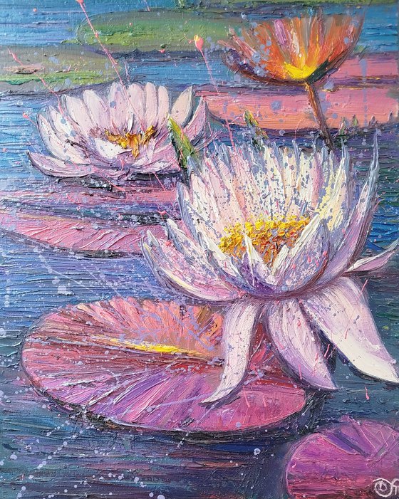 Water lilies