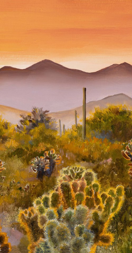 Sunset in saguaro desert by Lucia Verdejo