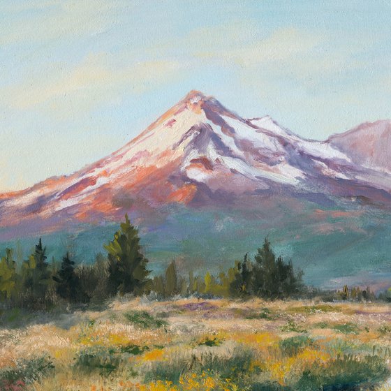 Mount Shasta in California