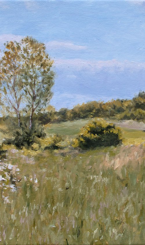 Spring in the Hills by Dejan Trajkovic