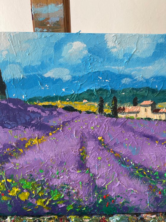 Tuscan Lavender Field