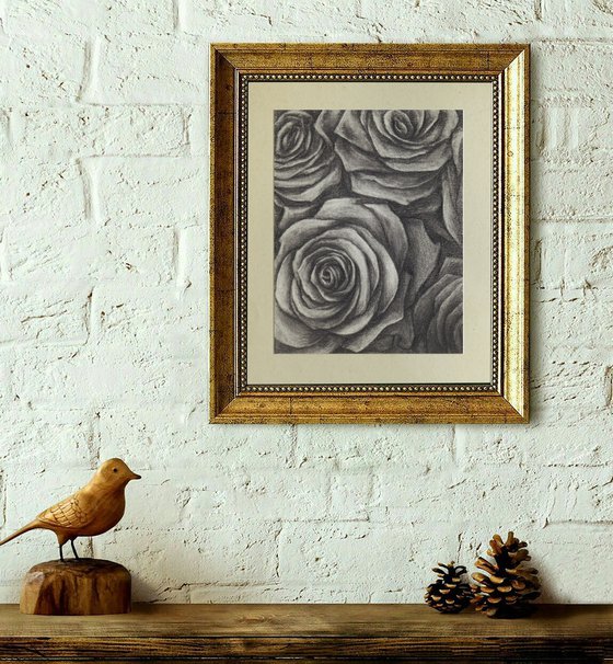 Black Roses. Graphite Flowers Series