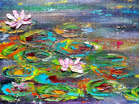 Enchanted Pool - Waterlily garden - Pooja Verma