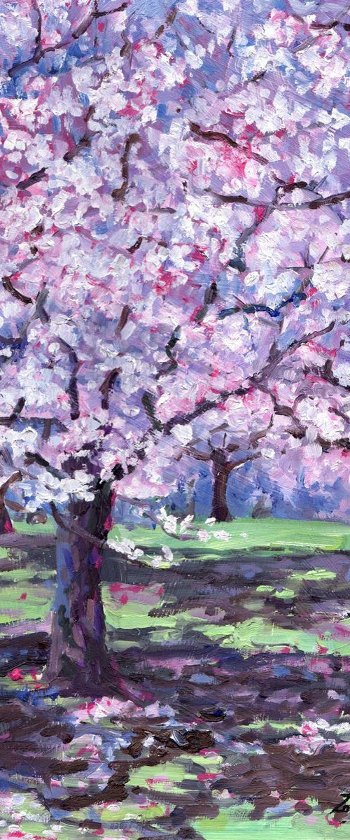 May Blossom by Zoe Elizabeth Norman