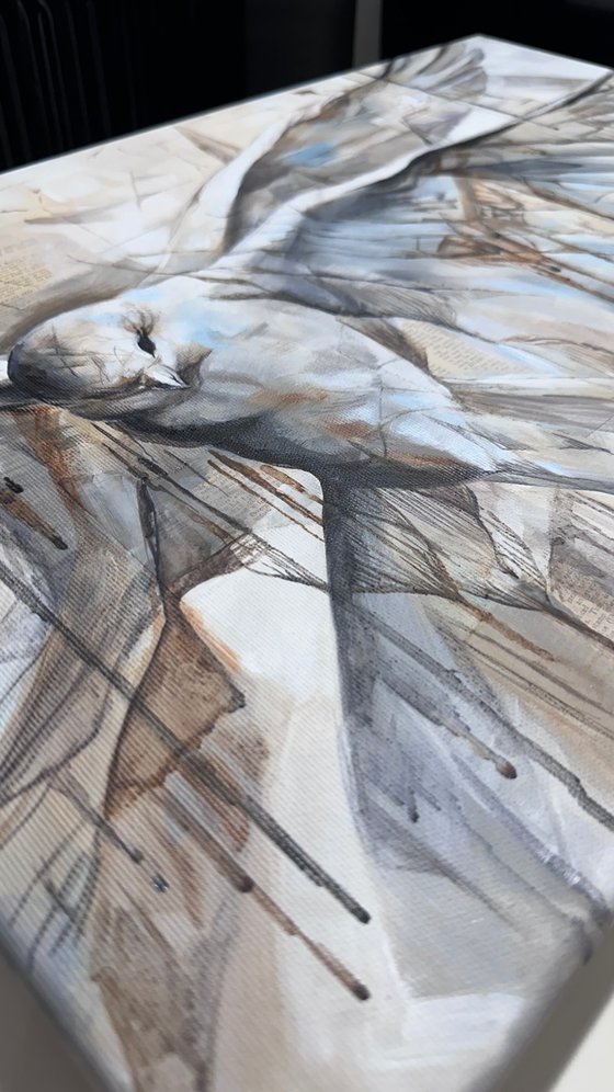 White Beige Blue Pigeon Abstract Bird
