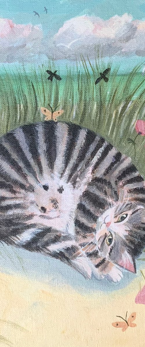 Tabby nap on the beach by Mary Stubberfield