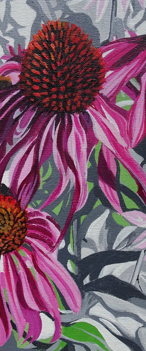 Echinacea Flowers by Joseph Lynch