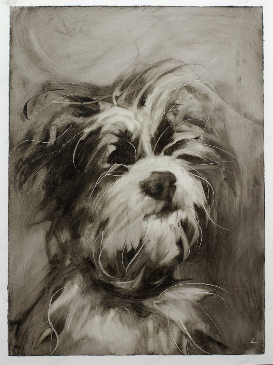 Photorealistic Animal Oil Painting By Marina Skepner, 7 X 9", Friend, Original Artwork