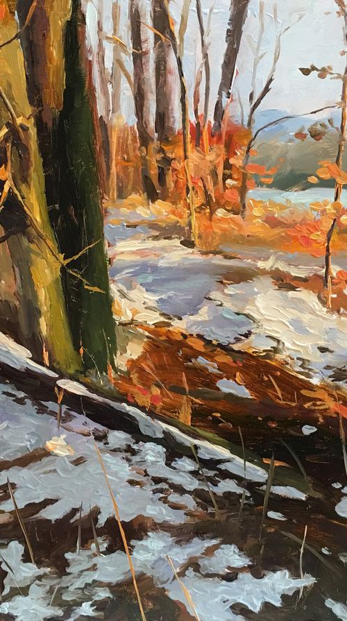 An Evening in Winter-3 by Ling Strube
