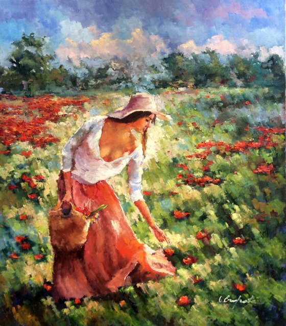 Field of poppies
