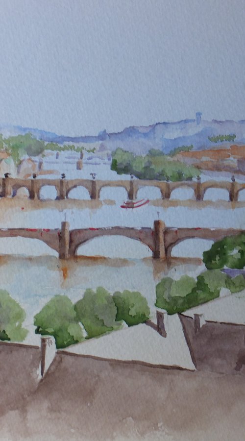 The Bridges of Prague by David Harmer
