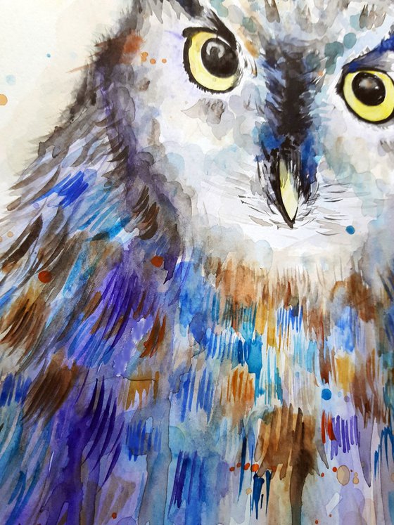 Owl, watercolor