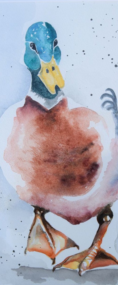 Mr Mallard 2 by Nicola Colbran
