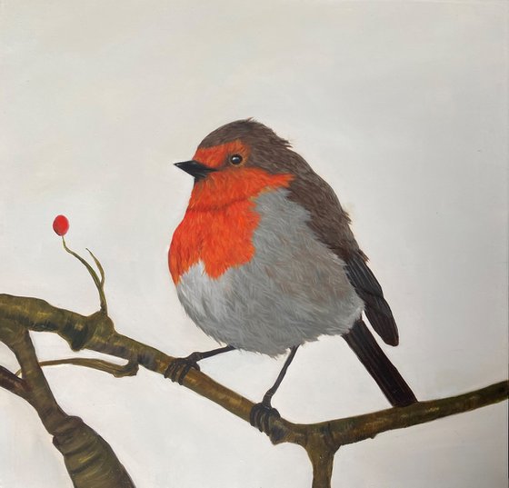 Robin on Branch