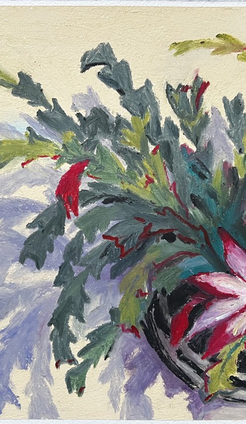 Christmas cactus by Natalia Veyner