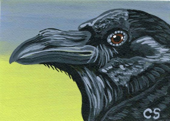 ACEO ATC Original Miniature Painting Raven Crow Bird Wildlife Art-Carla Smale