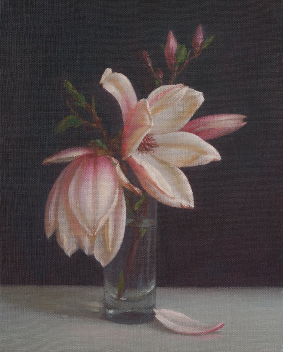 Photorealistic Still Life Oil Painting By Irina Trushkova, 11 X 13, Magnolia, Original Artwork