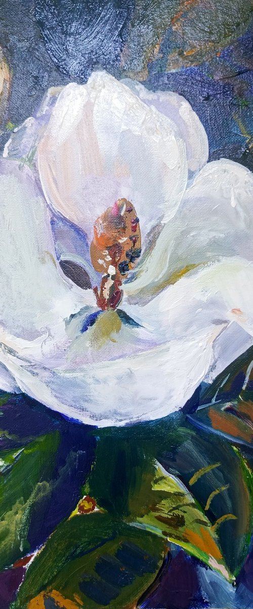 Magnolia by Oxana Raduga