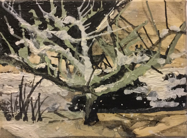Japanese Maple In Winter By Carole Ann Hall Artfinder