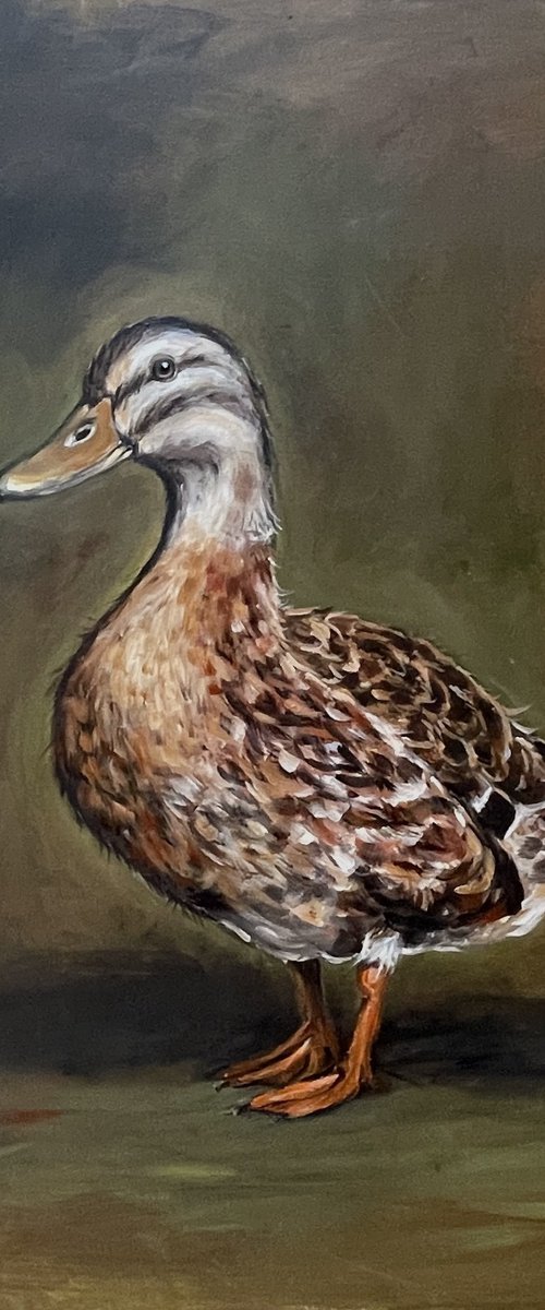Dolly Duck by Louise Brown