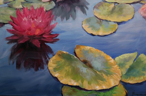 "Garden of Water Dreams"