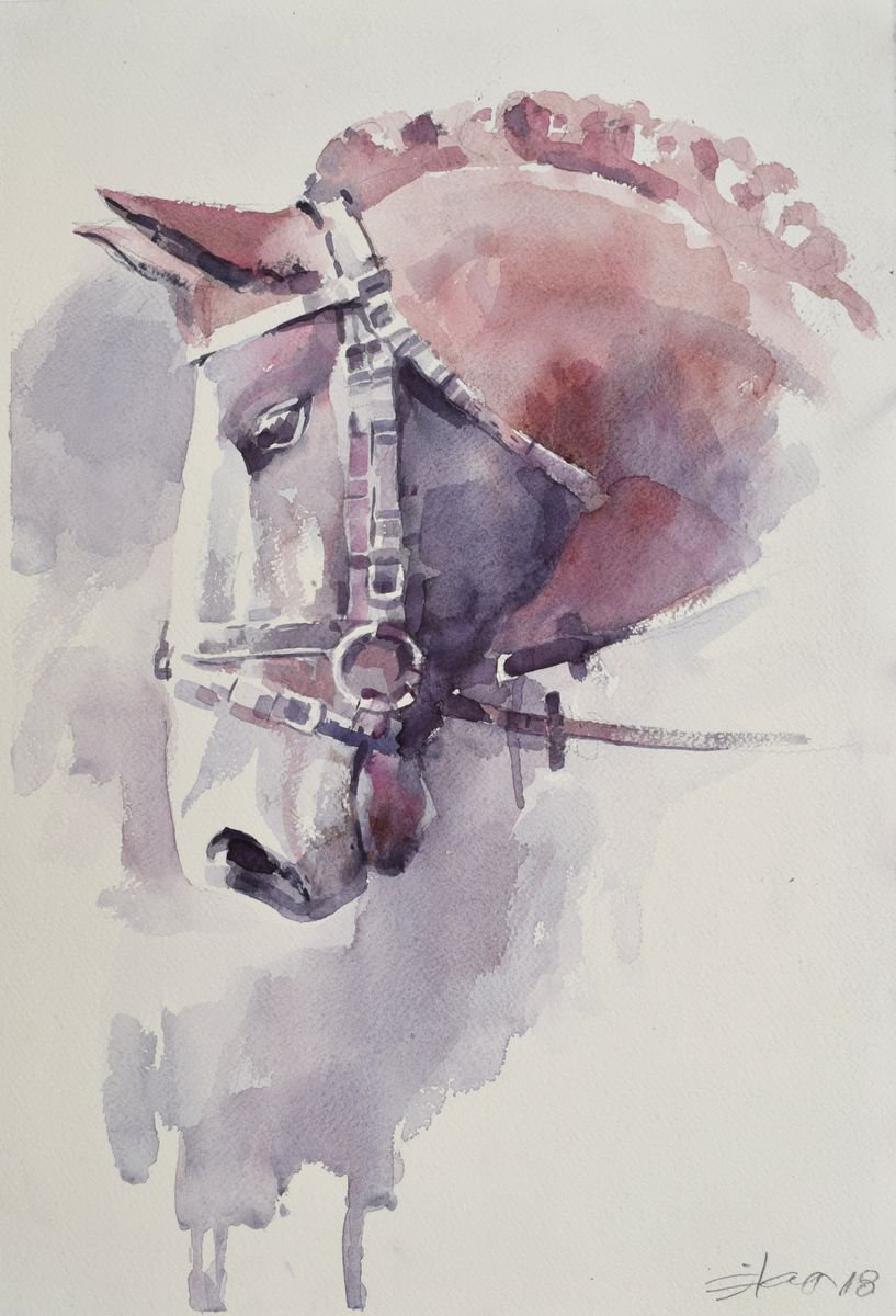 Animal Watercolour By Goran Zigolic Watercolors, 15 X 22, Horse Head 3, Original Artwork