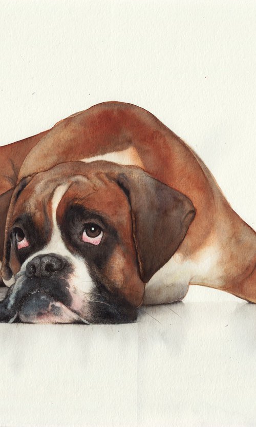 Dog Boxer by REME Jr.