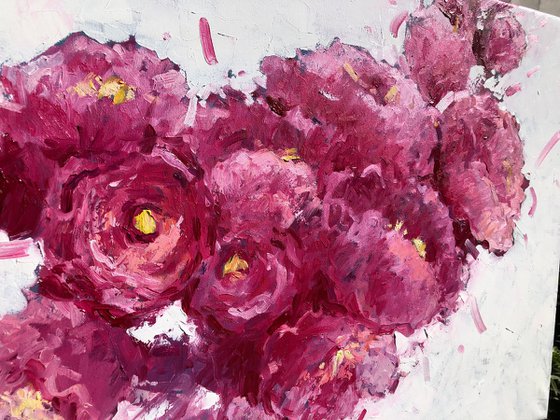 May peonies
