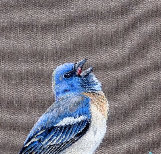 Bird. The Blue Bird Singing.