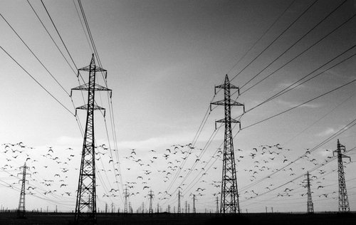 Electricity by Yani Hristov