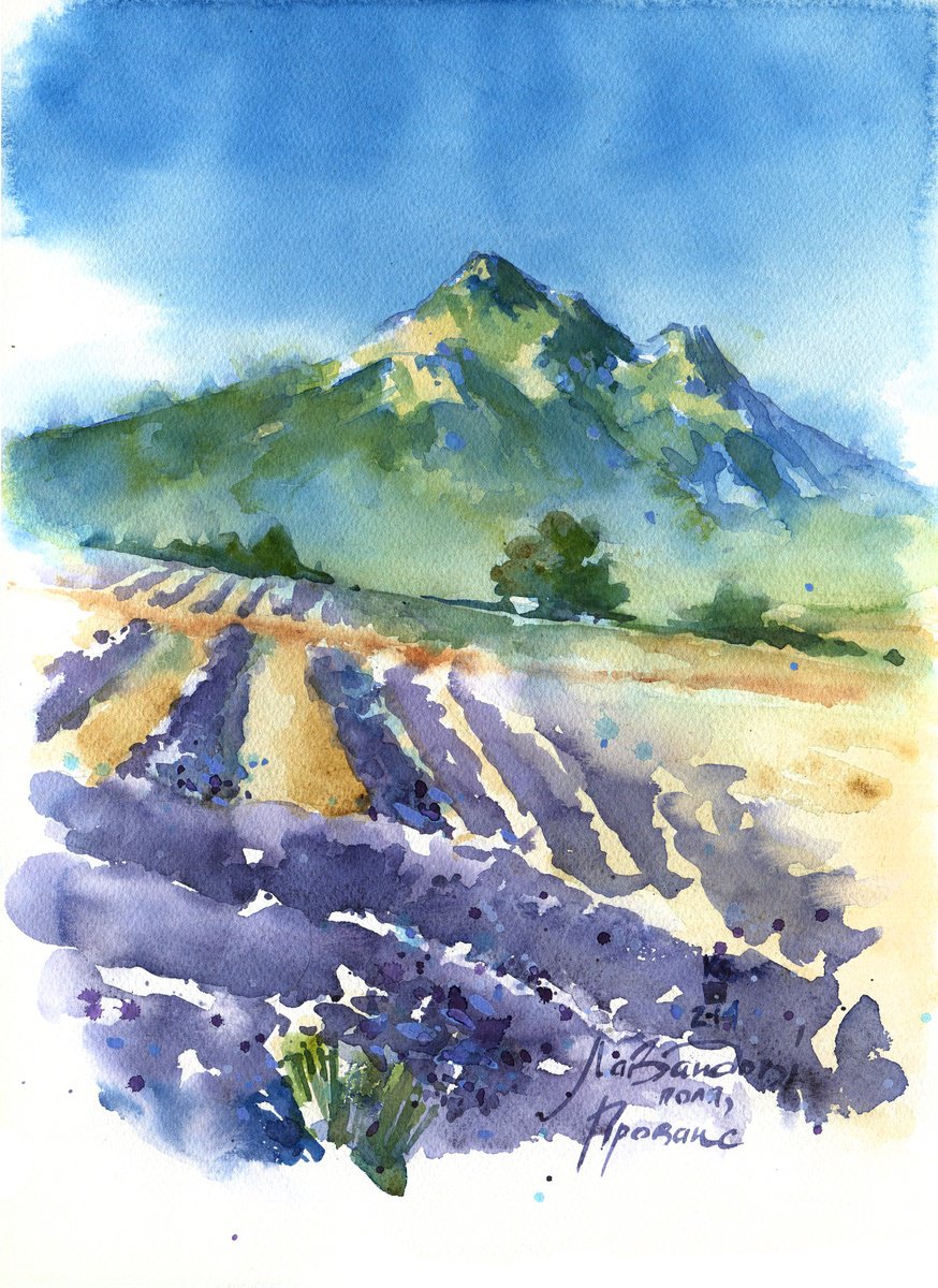 Lavender fields in Provence by Ksenia Selianko