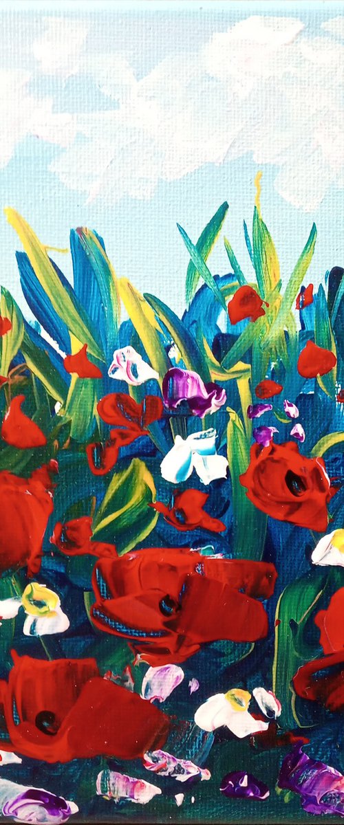 Poppies at the meadow by Oksana Fedorova