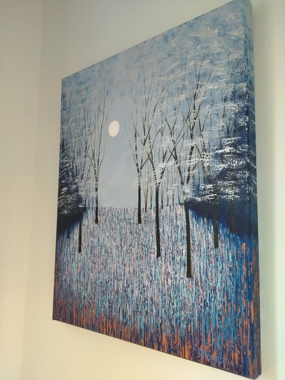 Silver Moon Glade