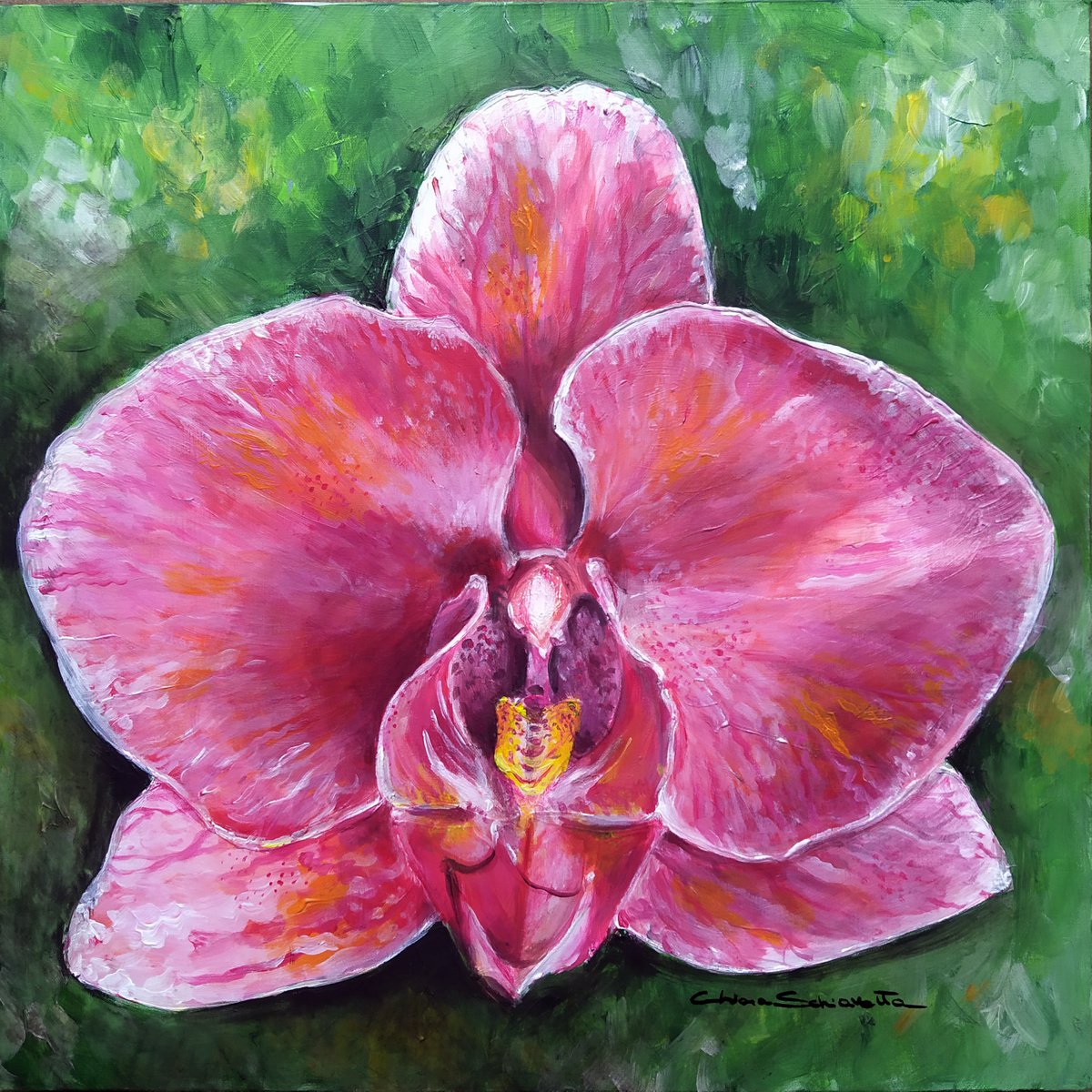 Orchidea rosa by Chiara Schiavetta