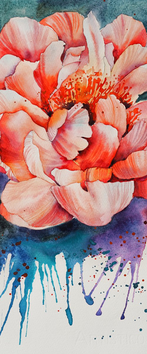 Explosive peony - original watercolor flower and splashes by Delnara El