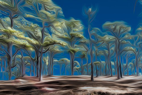 Standup Trees II by Dr Martín Raskovsky