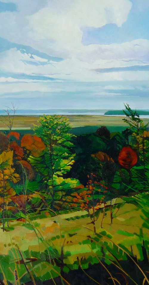 (large) Autumn views of Distant Lake by Julie Goulding