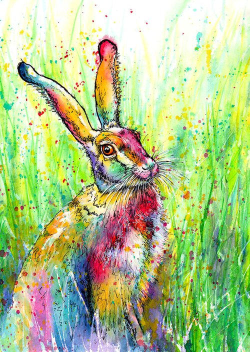 Harlequin Hare by Sally Goodden