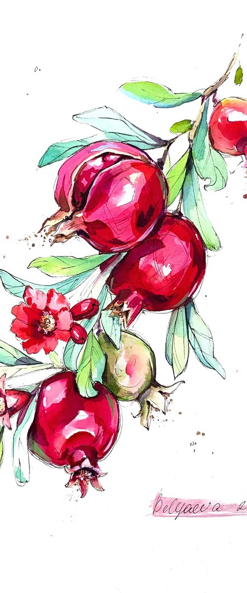 Pomegranate by Belyaeva Oleksandra