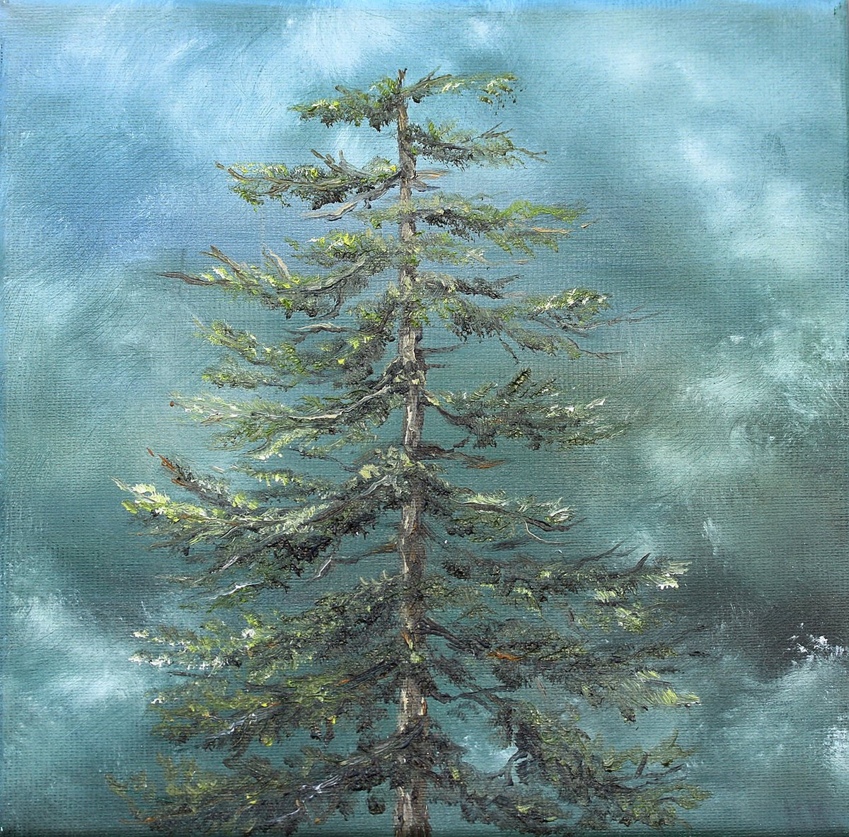Expressive Oil Painting , Evergreen Sentinel By Katerina Koroleva, 8 X 8, Artwork For Sale On Artfinder