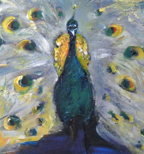 Peacock 2 - 40x28