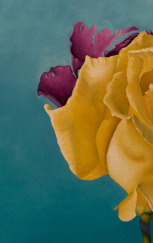 Yellow Spring Rose - limited edition print Giclée by Damien Venditti