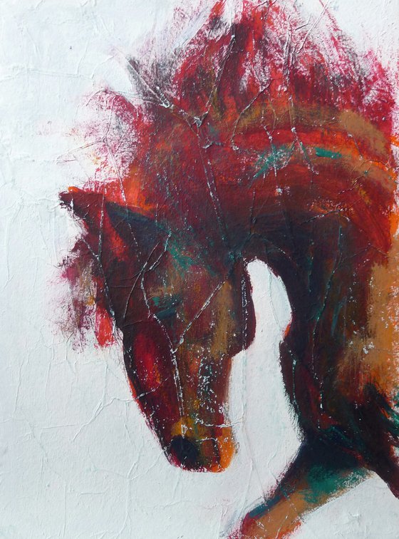 Fire Horse  on White