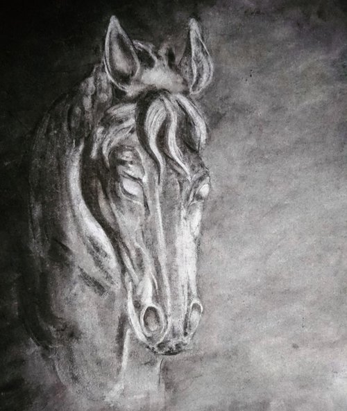 Study of a horse head by Katerina Kovalova