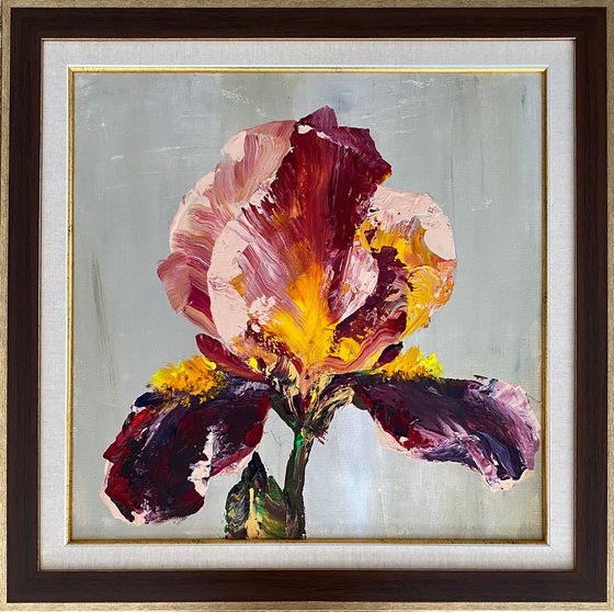 Iris in maroon original painting on canvas acrylic flowers