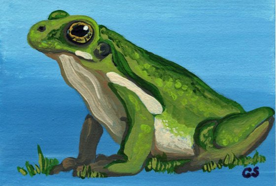 ACEO ATC Original Painting Green Frog Wildlife Art-Carla Smale