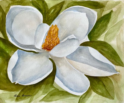 Magnolia Bloom by Rosie Brown